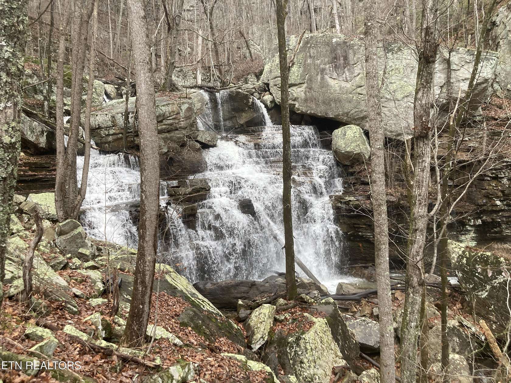 100 Acres of Recreational & Residential Land for Sale in Pikeville, Tennessee