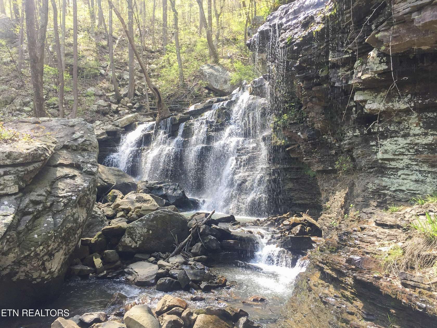 100 Acres of Recreational & Residential Land for Sale in Pikeville, Tennessee