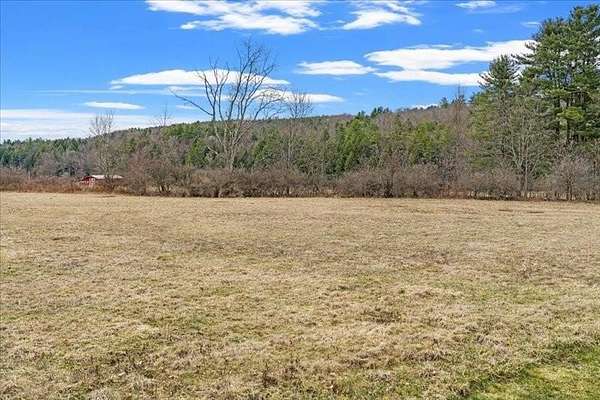 18 Acres of Land for Sale in Chenango Forks, New York