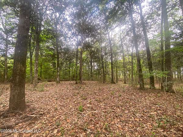 3 Acres of Residential Land for Sale in Escatawpa, Mississippi