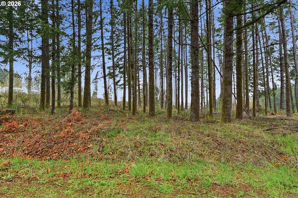 13.1 Acres of Recreational & Residential Land for Sale in North Plains, Oregon