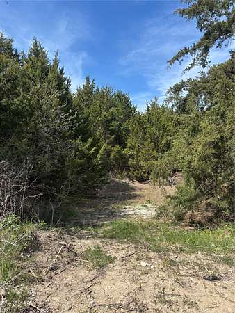4.14 Acres of Residential Land for Sale in Waxahachie, Texas