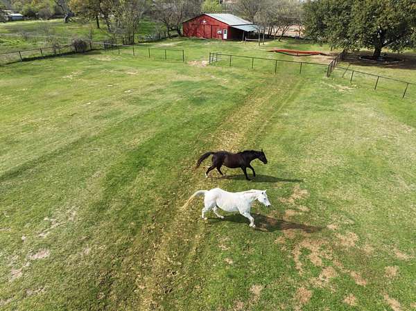 4.5 Acres of Land with Home for Sale in Southlake, Texas
