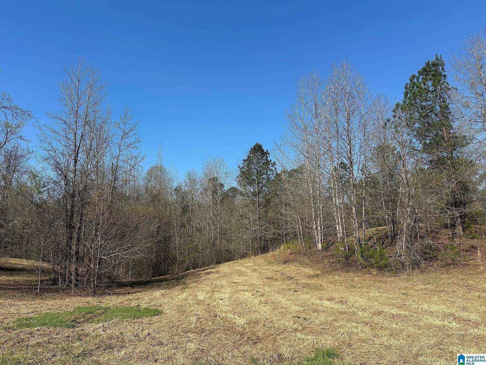 17.5 Acres of Land for Sale in Sterrett, Alabama