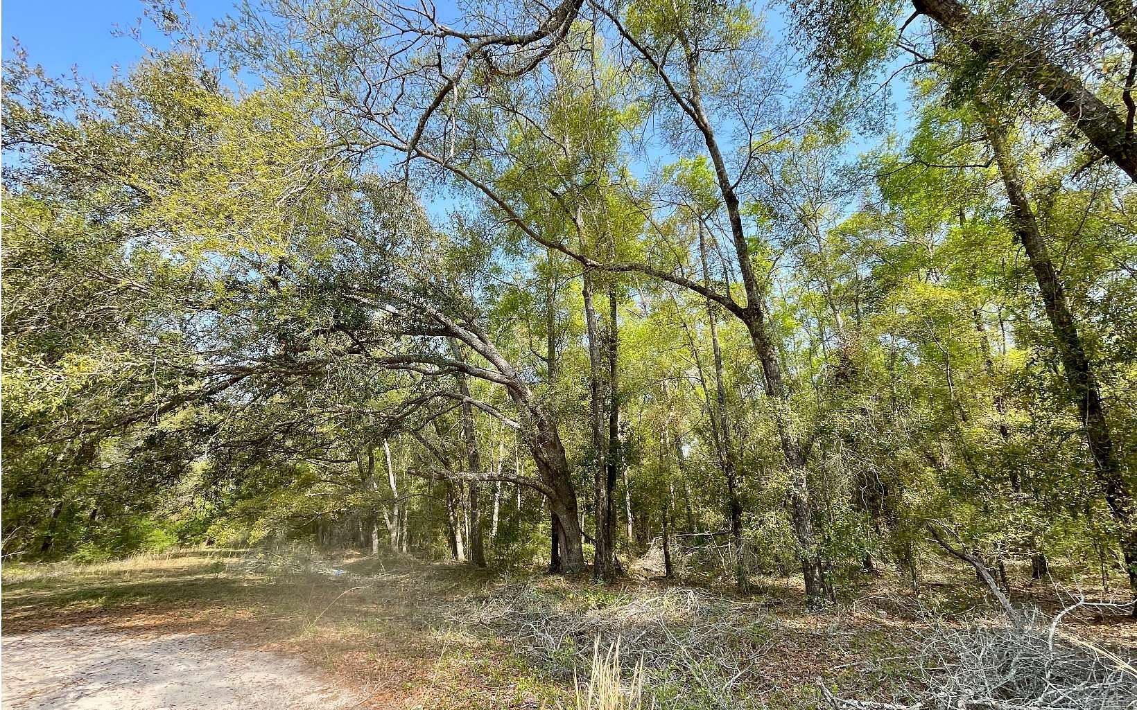 2 Acres of Residential Land for Sale in O'Brien, Florida