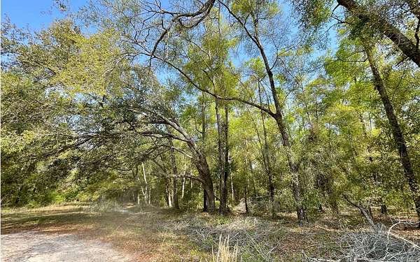 2 Acres of Residential Land for Sale in O'Brien, Florida