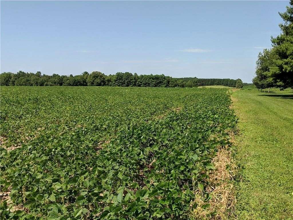 40 Acres of Agricultural & Residential Land for Sale in Glen Flora, Wisconsin
