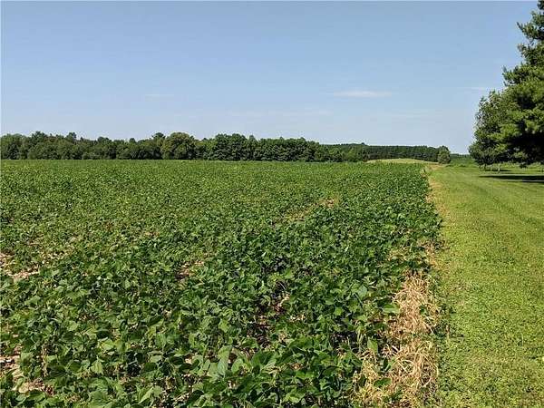 40 Acres of Agricultural & Residential Land for Sale in Glen Flora, Wisconsin