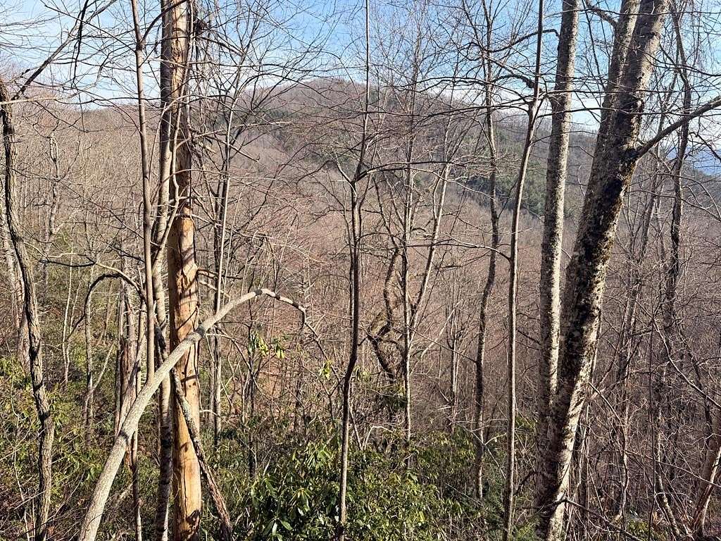 1.84 Acres of Residential Land for Sale in Tuckasegee, North Carolina