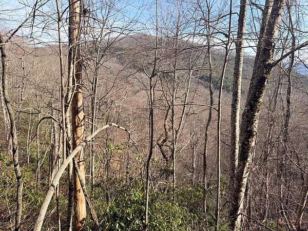 1.84 Acres of Land for Sale in Tuckasegee, North Carolina