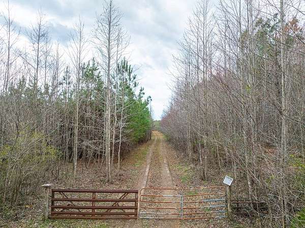 92.5 Acres of Recreational & Residential Land for Sale in Cullen, Virginia