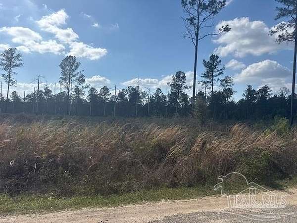 5 Acres of Land for Sale in Milton, Florida