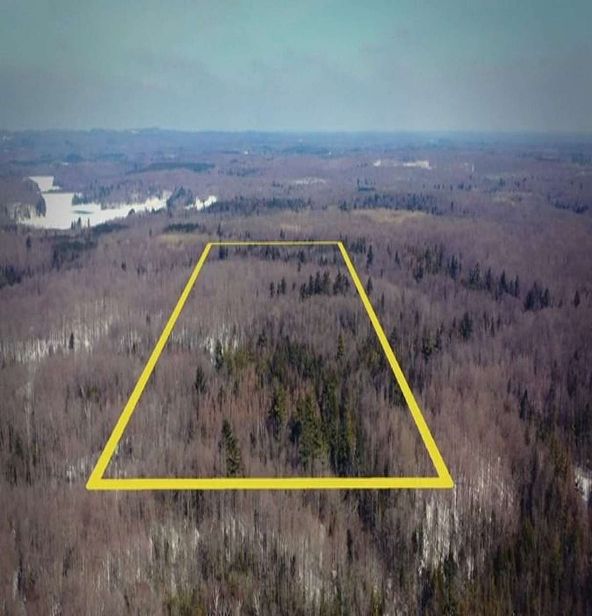 89.3 Acres of Recreational Land for Sale in Rib Lake, Wisconsin