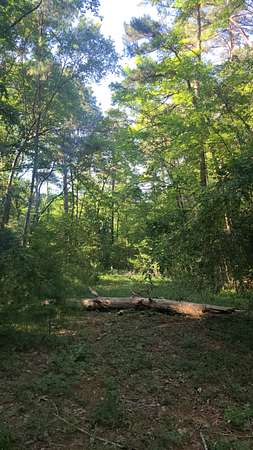 0.54 Acres of Residential Land for Sale in Harleton, Texas