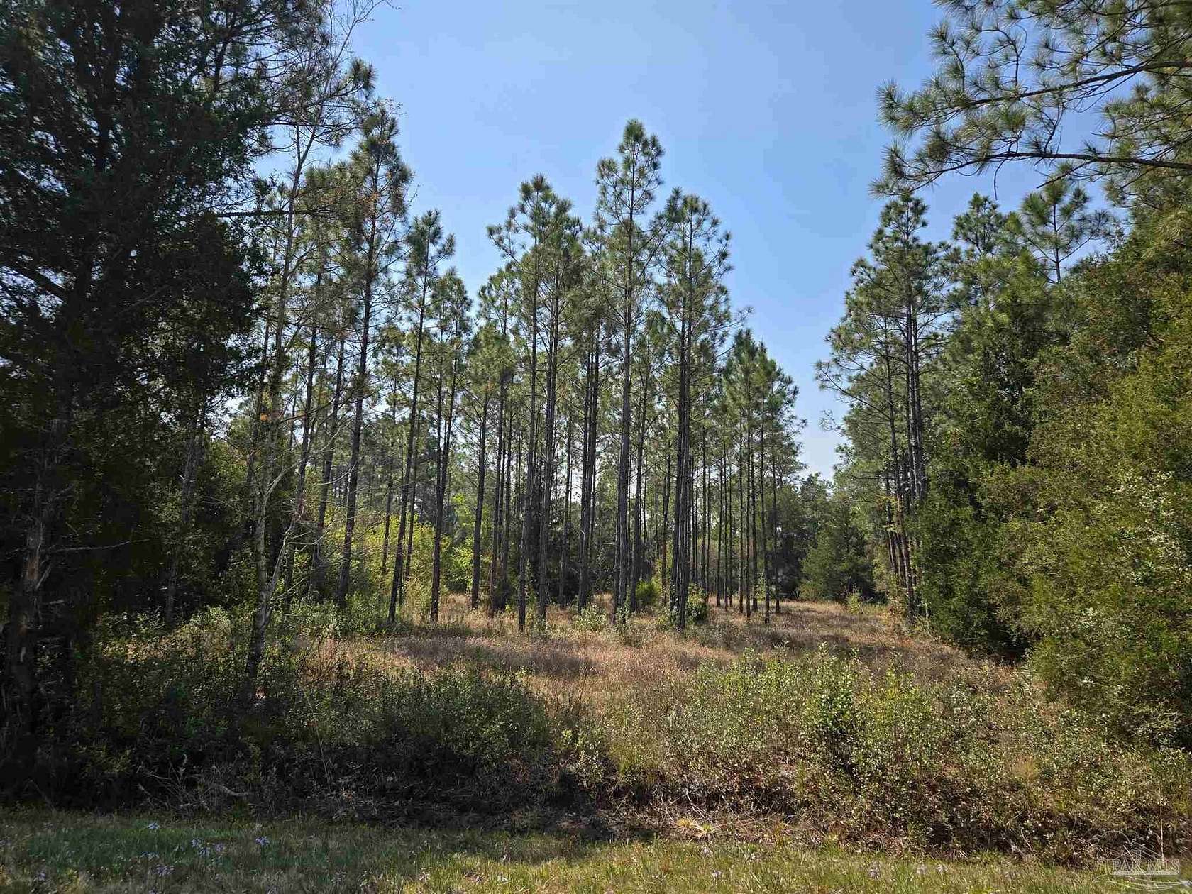 1.13 Acres of Residential Land for Sale in Milton, Florida