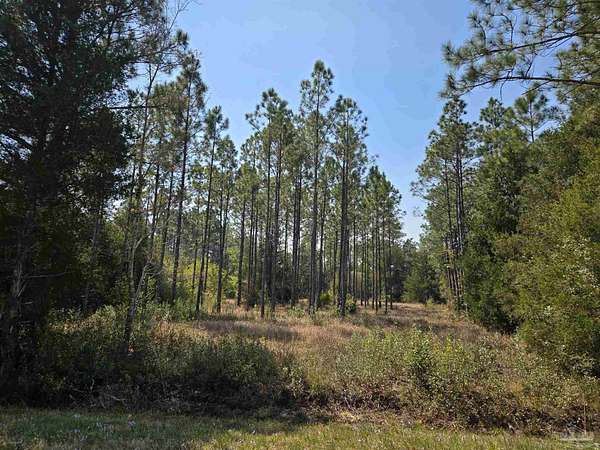 1.13 Acres of Residential Land for Sale in Milton, Florida