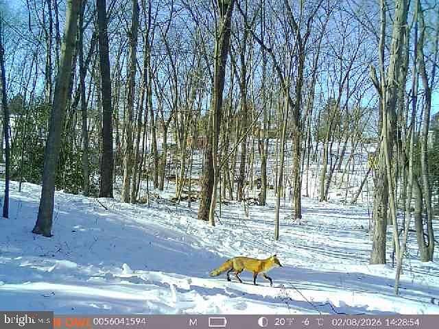 6.18 Acres of Residential Land for Sale in Hanover, Pennsylvania