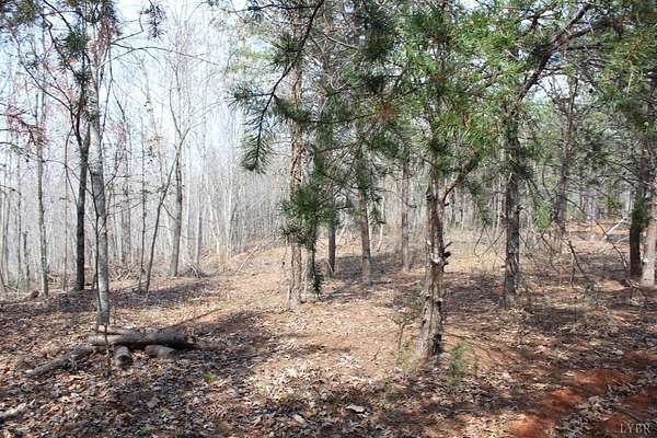 26.9 Acres of Recreational & Residential Land for Sale in Gretna, Virginia