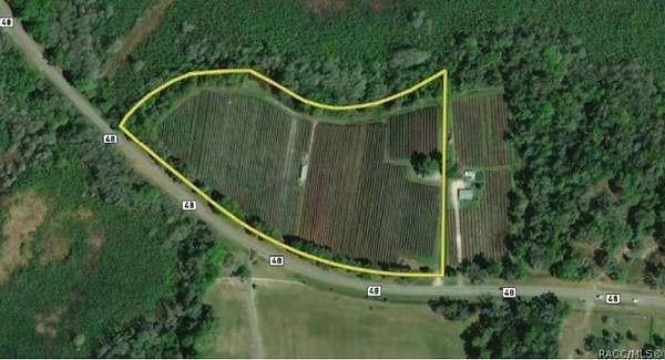 11.3 Acres of Land for Lease in Floral City, Florida