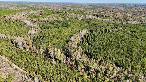 122 Acres of Recreational Land for Sale in Eufaula, Alabama