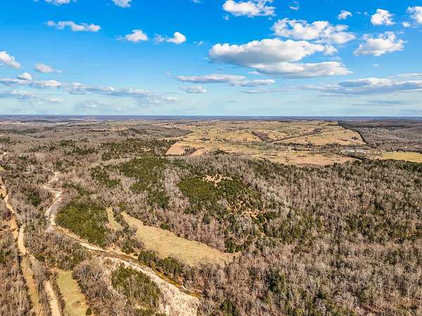 40 Acres of Recreational Land for Sale in Gainesville, Missouri
