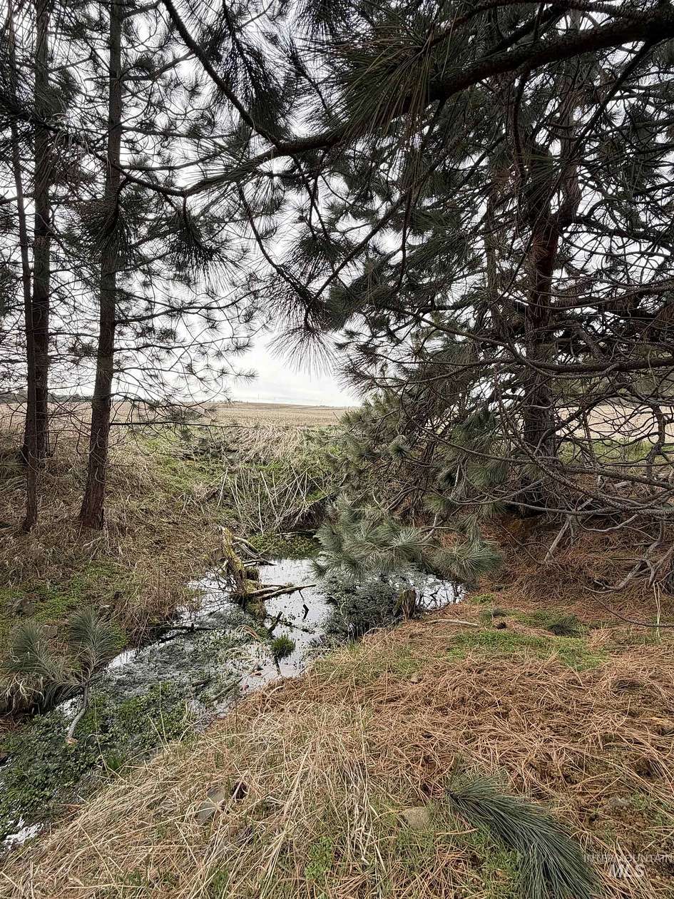 22.8 Acres of Agricultural Land for Sale in Winchester, Idaho