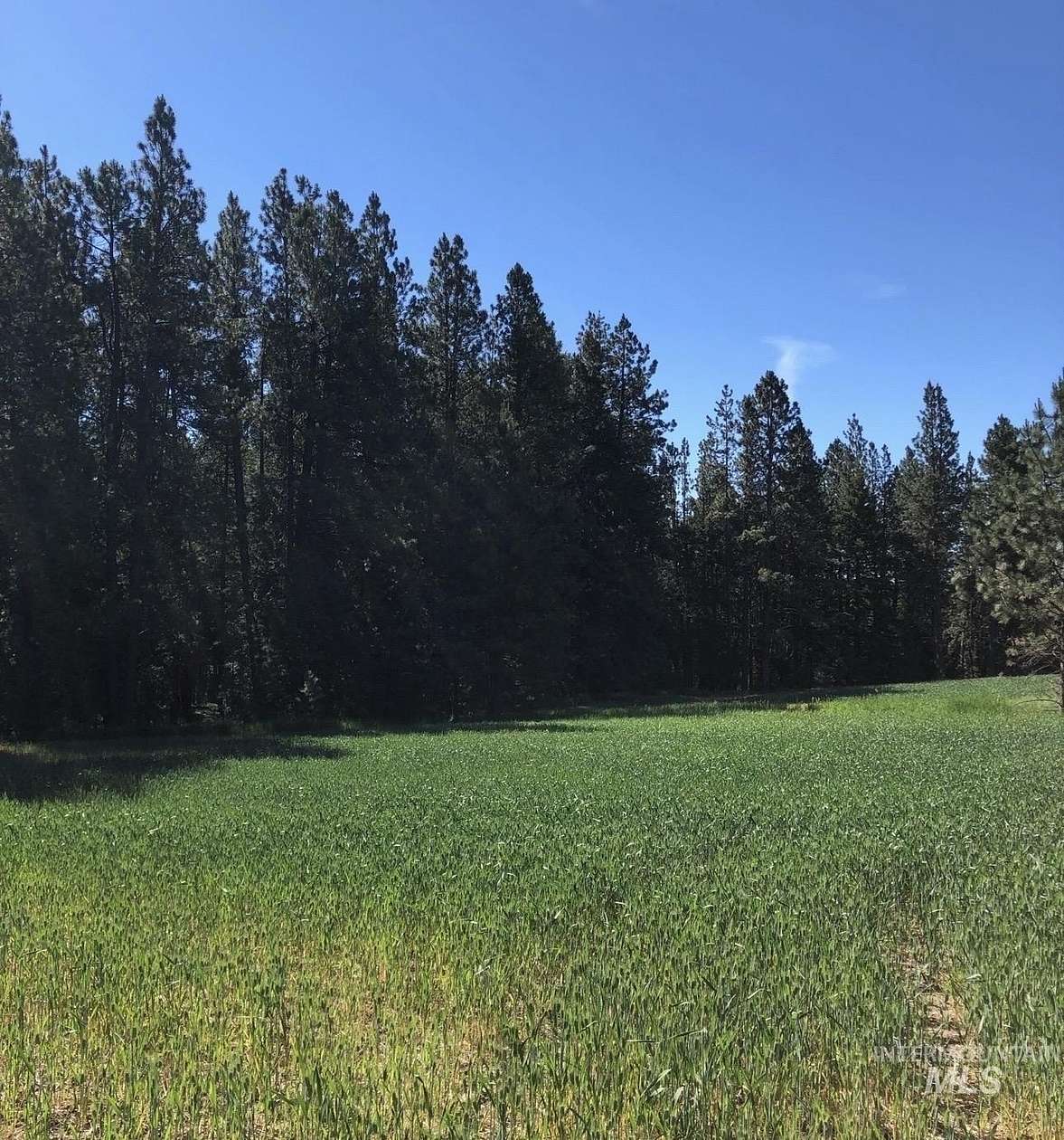 22.8 Acres of Agricultural Land for Sale in Winchester, Idaho
