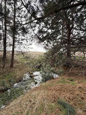 22.8 Acres of Agricultural Land for Sale in Winchester, Idaho