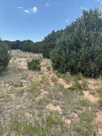 4 Acres of Land for Sale in Tajique, New Mexico