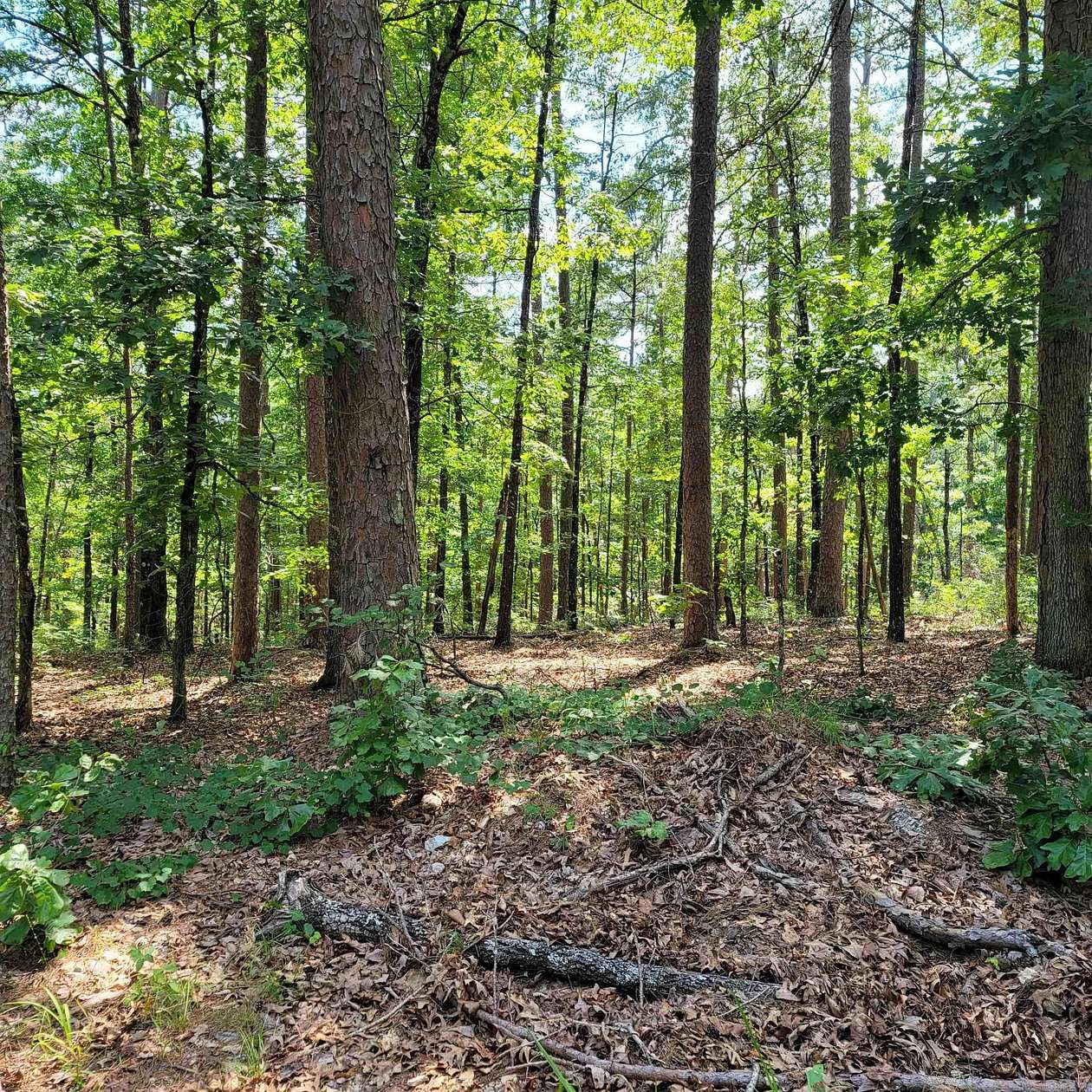 0.3 Acres of Land for Sale in Hot Springs Village, Arkansas