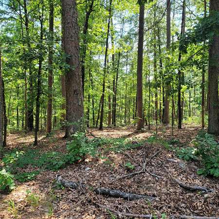 0.3 Acres of Land for Sale in Hot Springs Village, Arkansas