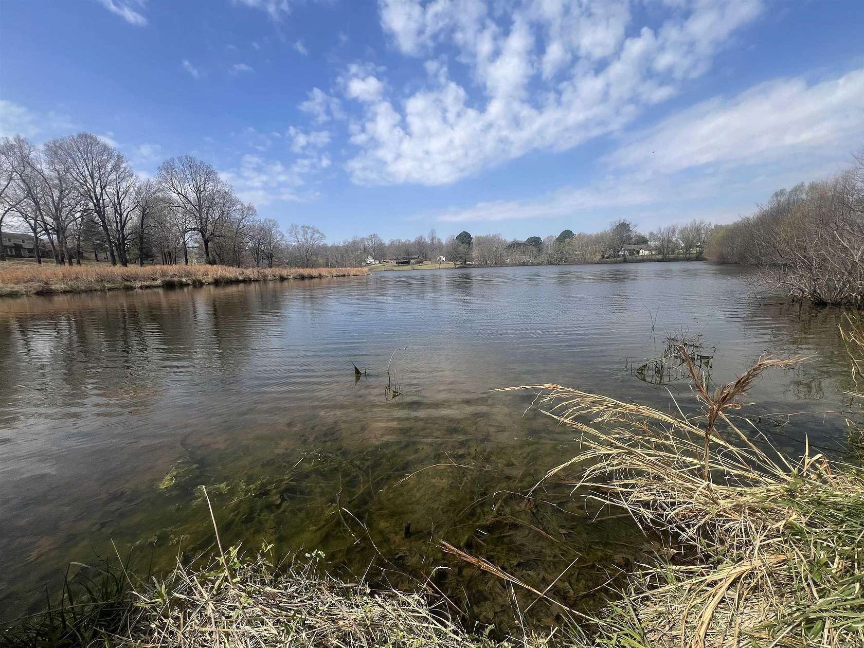 17 Acres of Land for Sale in Piggott, Arkansas