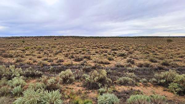 2 Acres of Residential Land for Sale in Sanders, Arizona