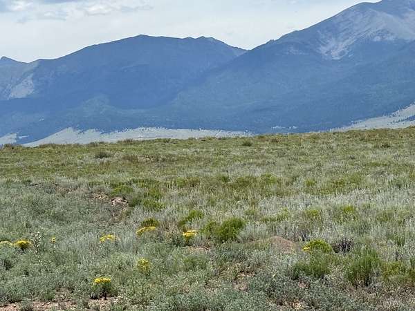 35.3 Acres of Agricultural & Residential Land for Sale in Westcliffe, Colorado