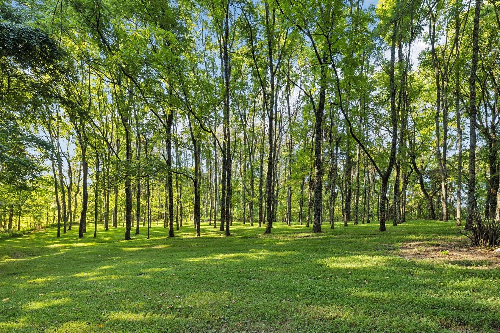 11 Acres of Land for Sale in College Grove, Tennessee