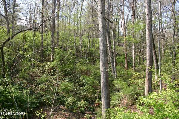 0.53 Acres of Residential Land for Sale in Knoxville, Tennessee