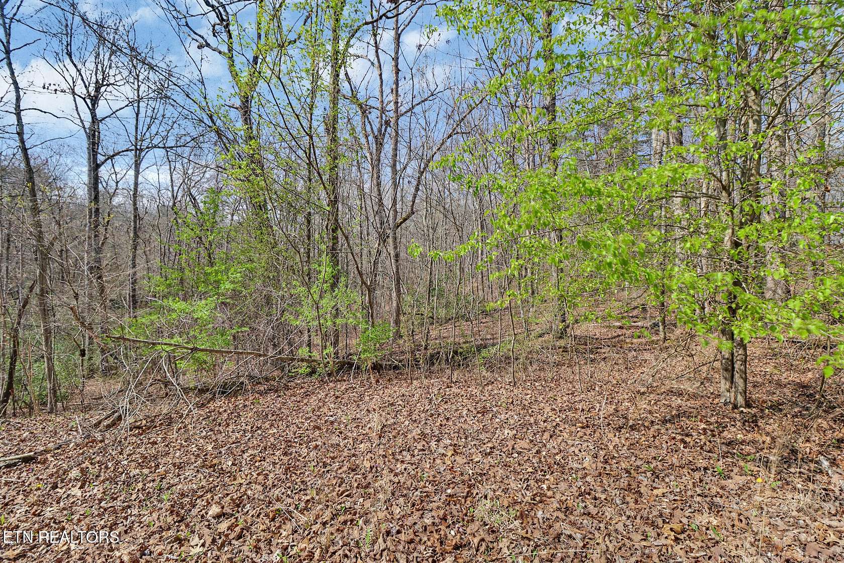 25.8 Acres of Recreational & Residential Land for Sale in Crossville, Tennessee
