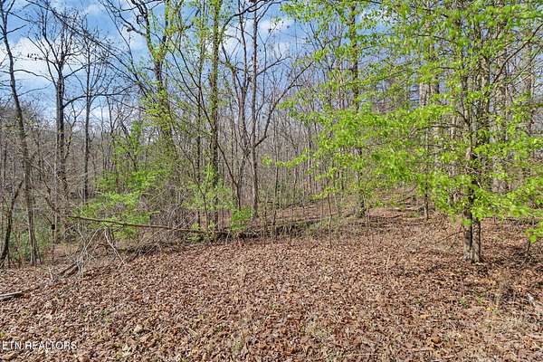 25.8 Acres of Recreational & Residential Land for Sale in Crossville, Tennessee
