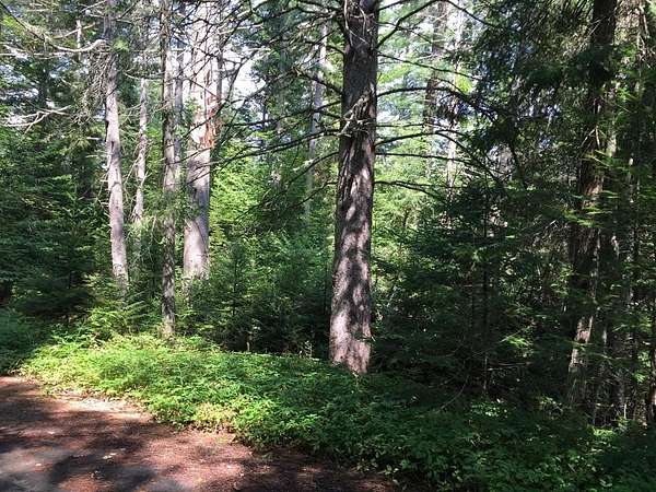 1.66 Acres of Residential Land for Sale in Lake Placid, New York