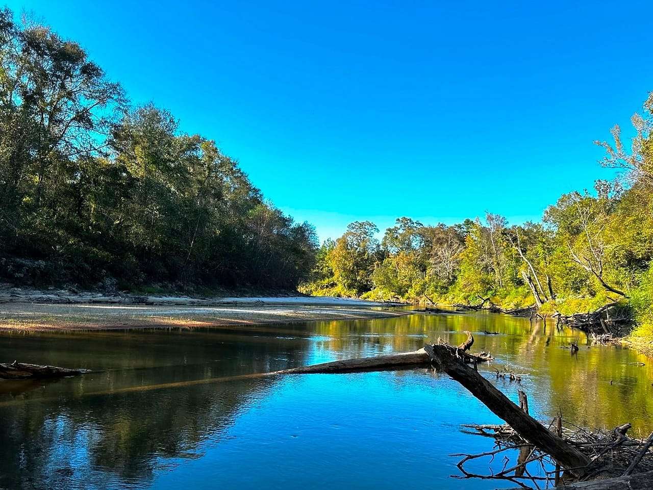 160 Acres of Land for Sale in Wiggins, Mississippi