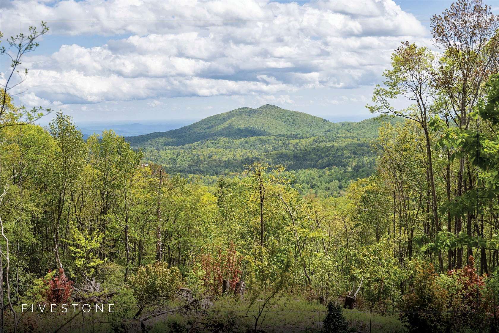 41.4 Acres of Recreational & Residential Land for Sale in Sapphire, North Carolina