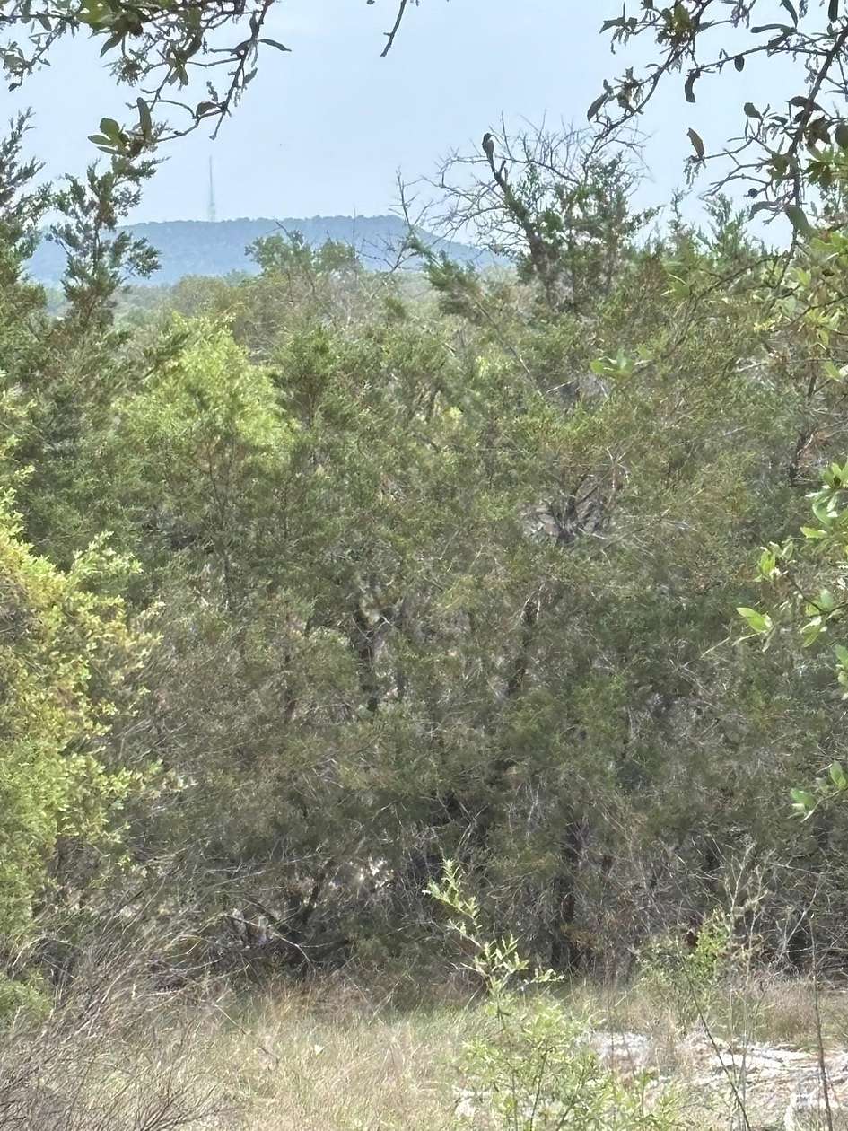 3 Acres of Land for Sale in Marble Falls, Texas