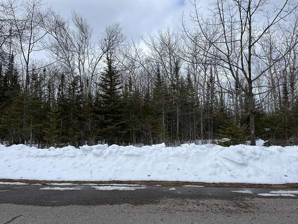 0.71 Acres of Residential Land for Sale in Presque Isle, Michigan