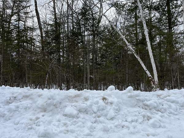 0.36 Acres of Residential Land for Sale in Presque Isle, Michigan