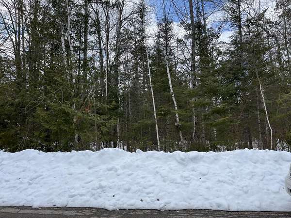 0.29 Acres of Residential Land for Sale in Presque Isle, Michigan
