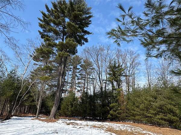 38.6 Acres of Recreational Land for Sale in Clintonville, Wisconsin