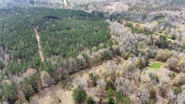 10.1 Acres of Land for Sale in Northport, Alabama