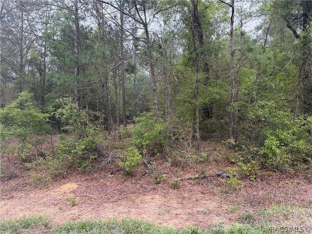 0.37 Acres of Residential Land for Sale in Dunnellon, Florida