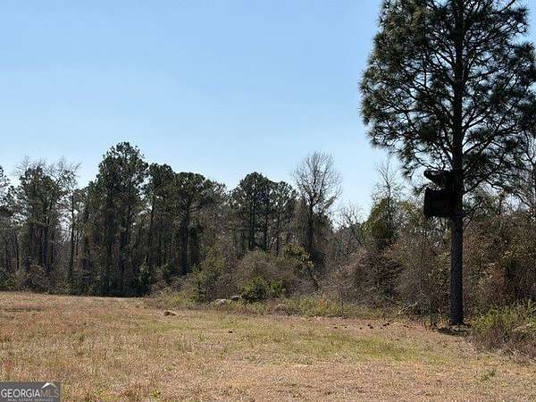 100 Acres of Recreational Land for Sale in Mauk, Georgia