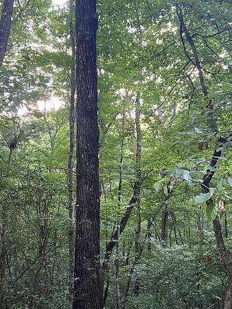 1.1 Acres of Residential Land for Sale in Ellijay, Georgia